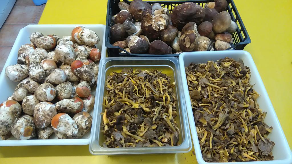 Casa Rural Zaldierna 外观 照片